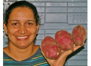 NEW SEASONS SPRAY FREE KUMARA 1KG MEDIUM Size KATIKATI Grown